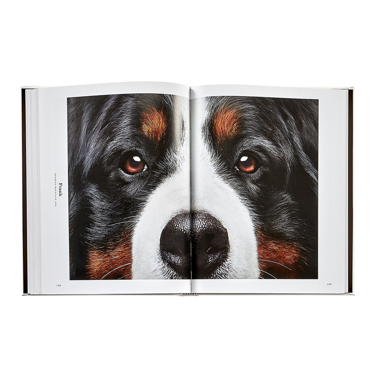 Good Dog / Hand Bound Leather Book – Hemel