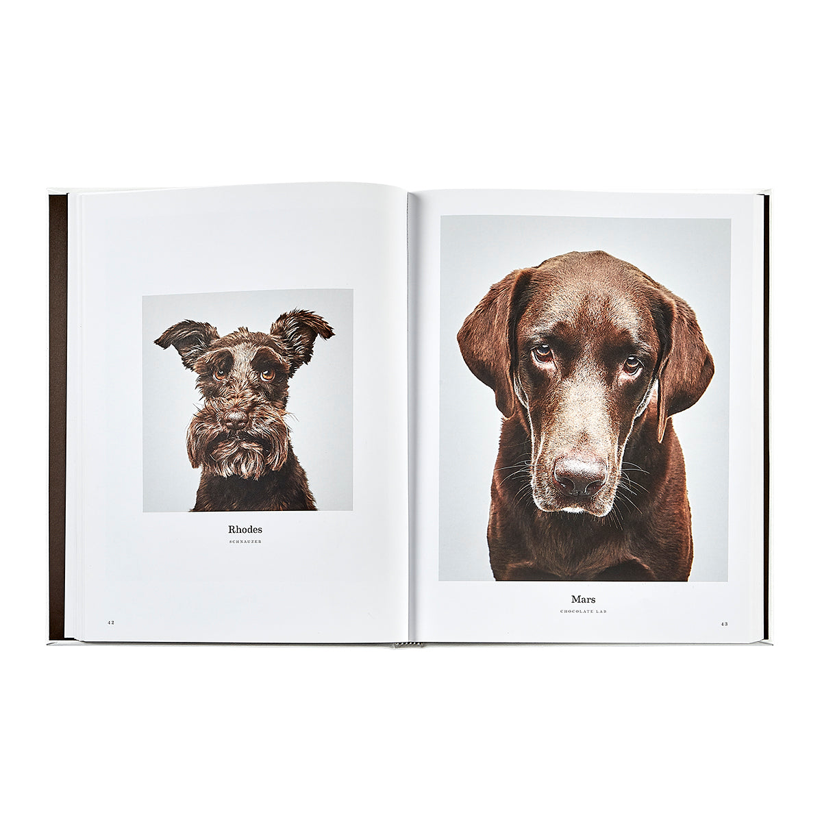 Good Dog / Hand Bound Leather Book – Hemel